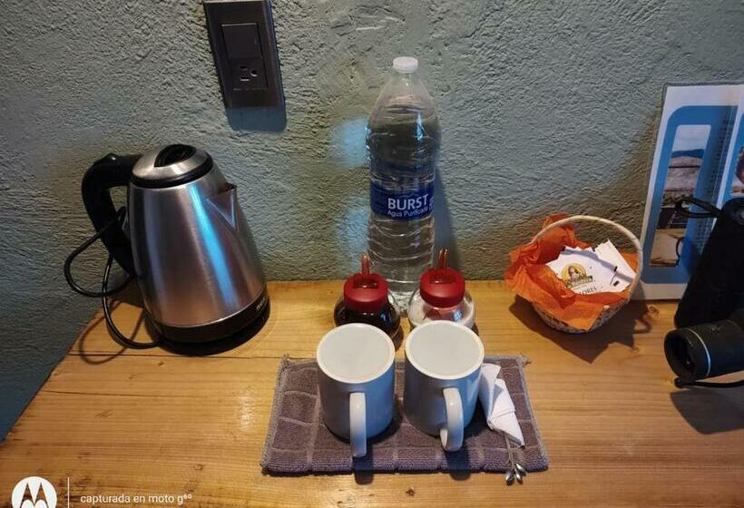 Пансион Cactus A&b Terraza