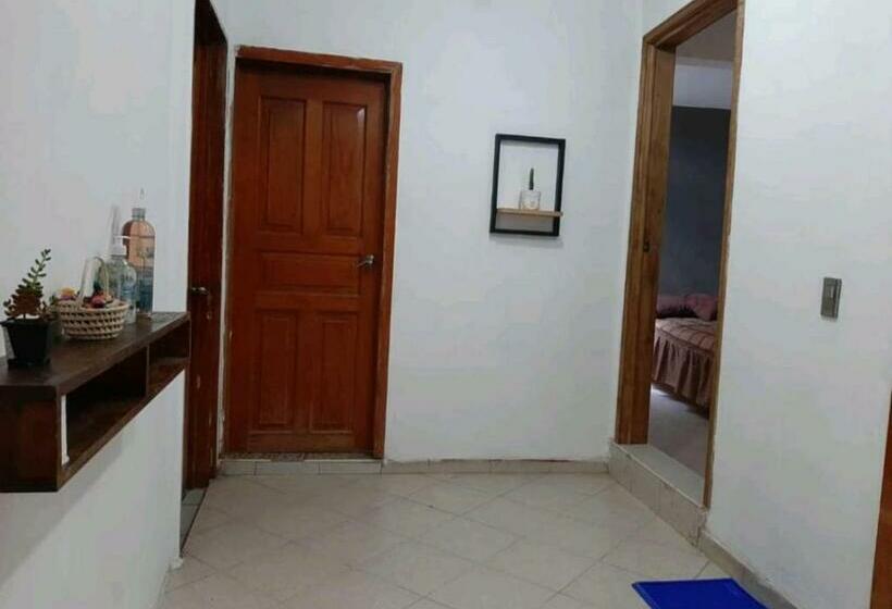 Пансион Cactus A&b Terraza