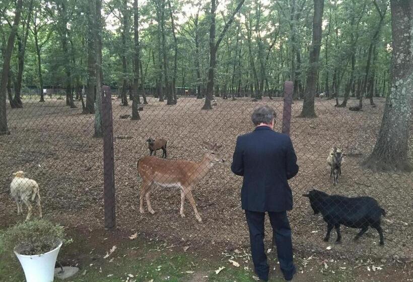 بنسيون Guest House La Selvotta