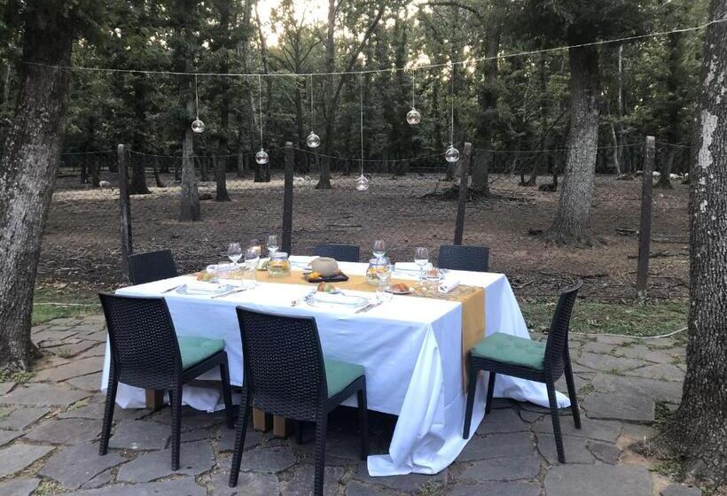 بنسيون Guest House La Selvotta