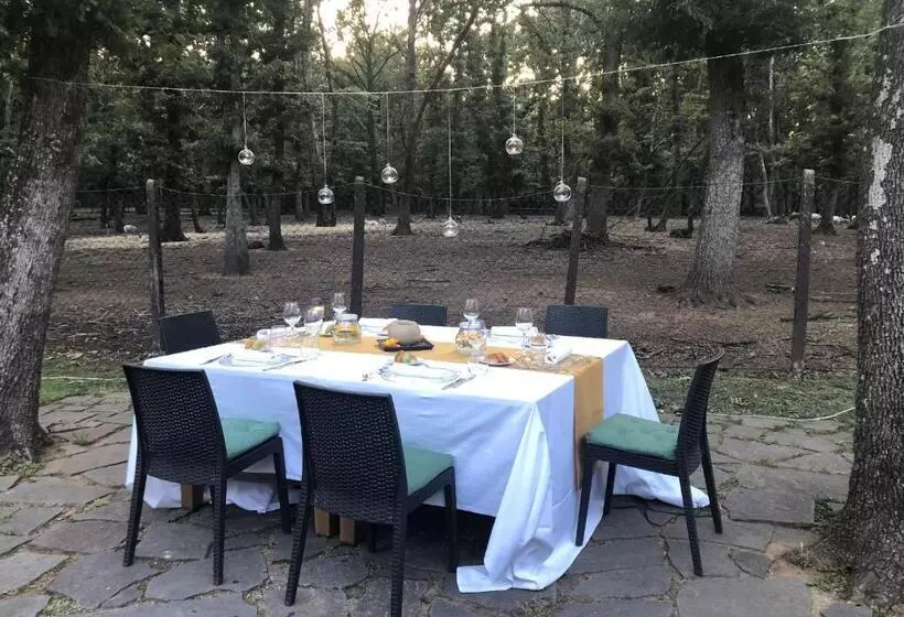 ペンション Guest House La Selvotta