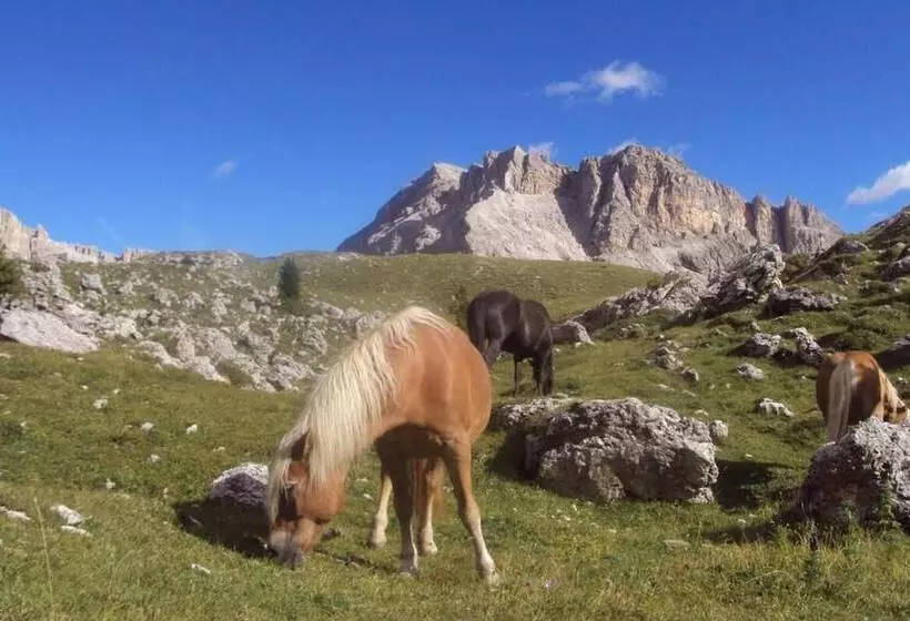 Aamiaismajoitus (B&B) Beautiful Residence Klementhof With Garden And A Seasonal Outdoor Pool