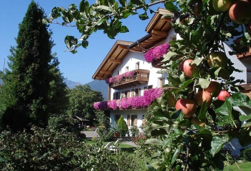 住宿加早餐  Beautiful Residence Klementhof With Garden And A Seasonal Outdoor Pool