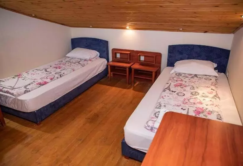 Hotelli стария чинар мелник