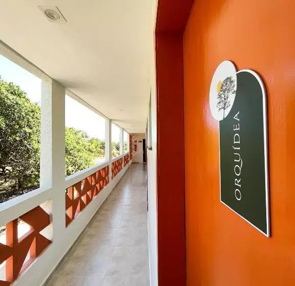 Hotelli Pousada Primavera