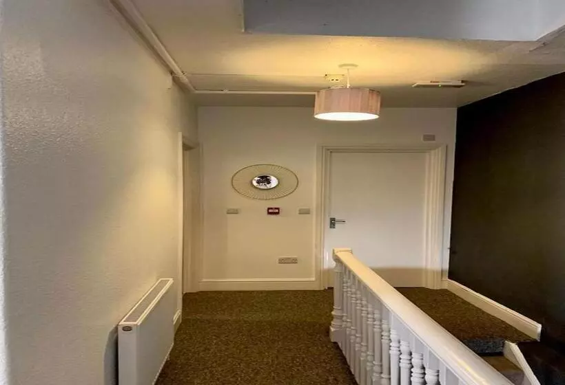 Molly Central House