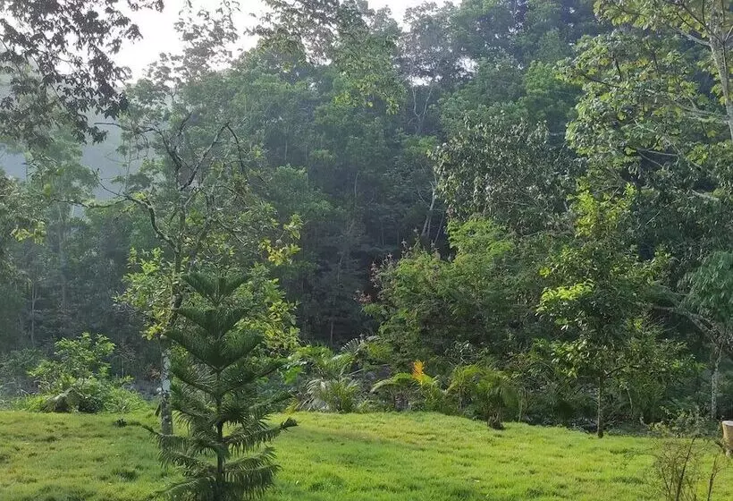 پانسیون Lechuza River Campinghouse In The Cacaos De San Cristobal