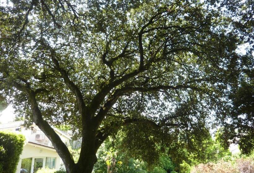 مبيت وإفطار Beaux Chênes