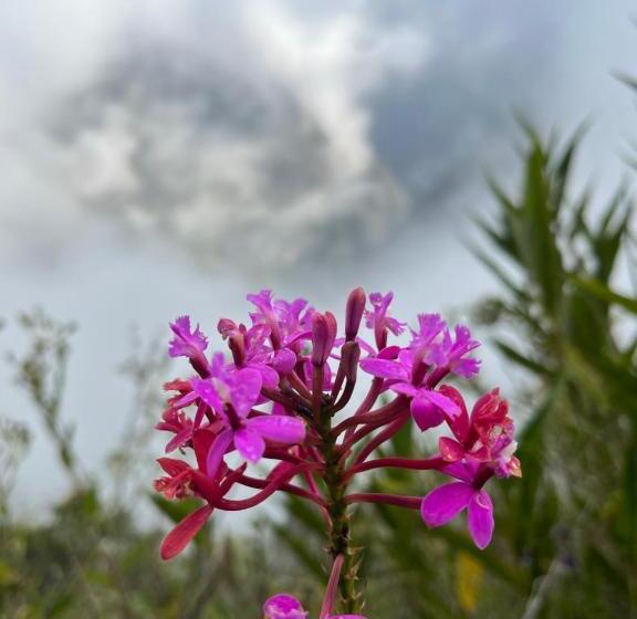 تختخواب و صبحانه Marluc Casa De Descanso