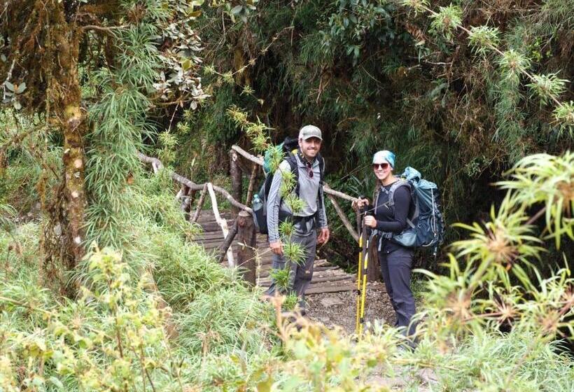 تختخواب و صبحانه Marluc Casa De Descanso