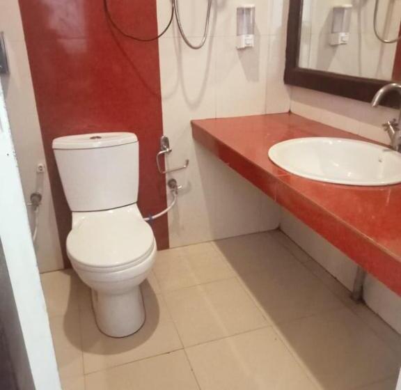 酒店 Daffodil, Manali