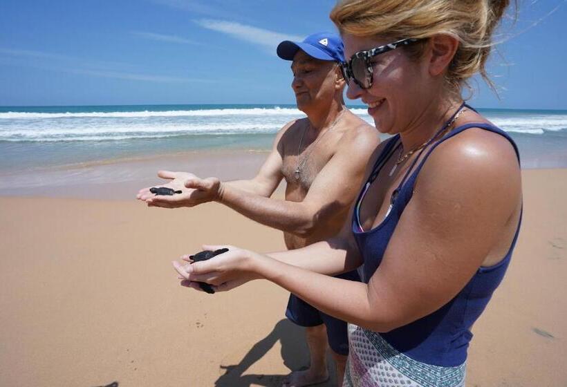 Отель Esprit Bentota