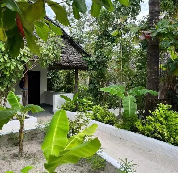 ホテル Karanga Bungalows