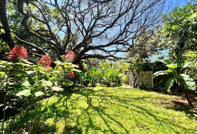 Larisa Resort Ashwem