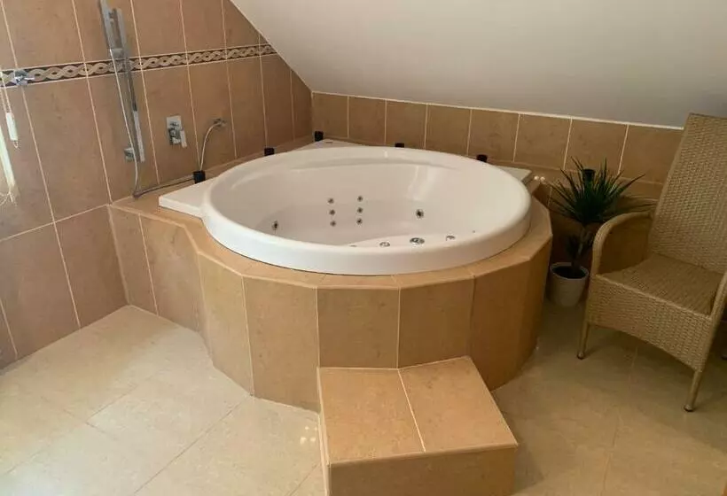 پانسیون Apartmány City 2