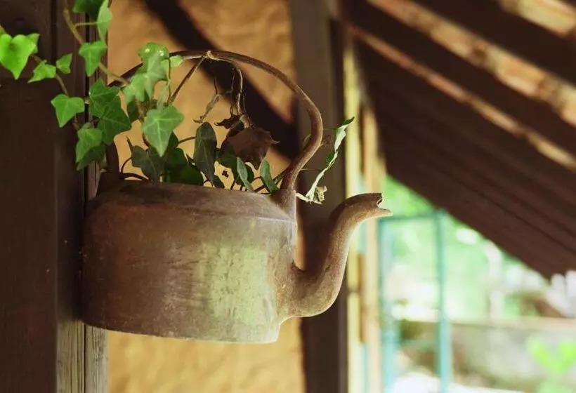 ペンション Sítio Urbano A Apenas 1,5 Km Do Centro