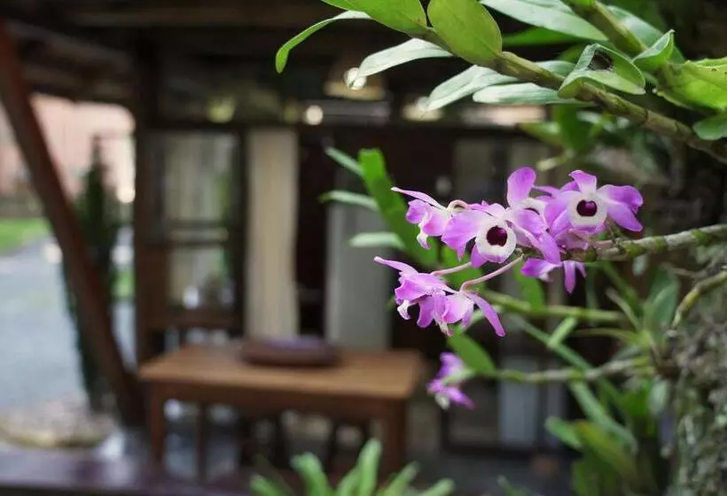 ペンション Sítio Urbano A Apenas 1,5 Km Do Centro