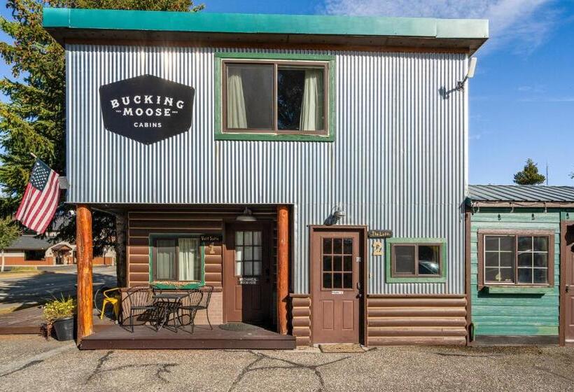 فندق The Bucking Moose
