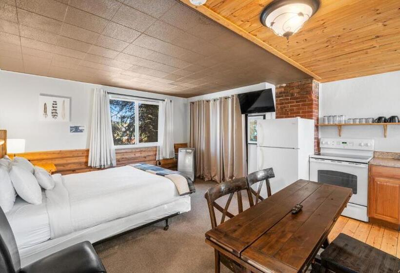 فندق The Bucking Moose