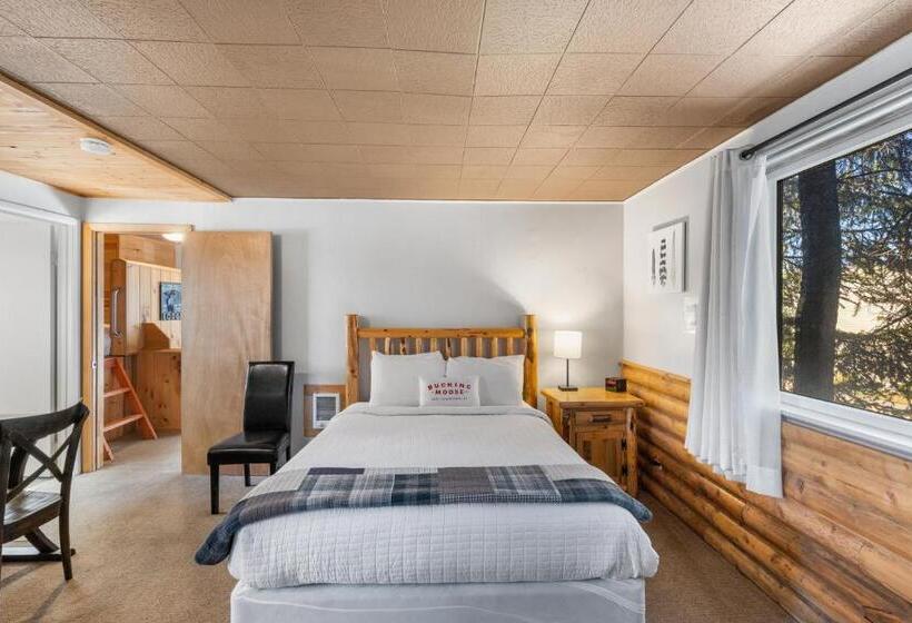 فندق The Bucking Moose