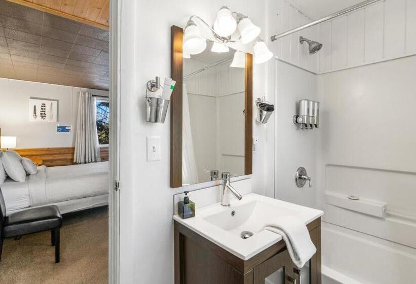 فندق The Bucking Moose