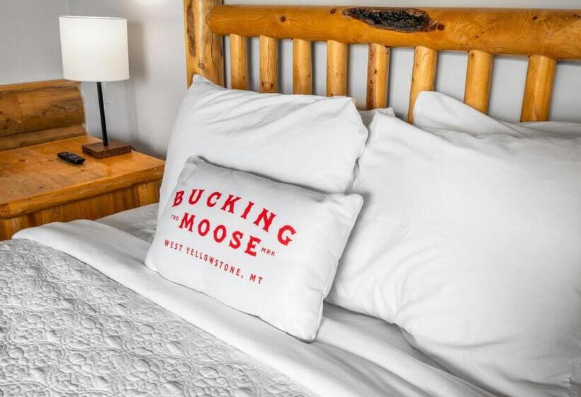 فندق The Bucking Moose