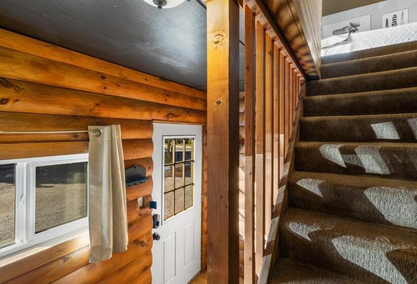 فندق The Bucking Moose