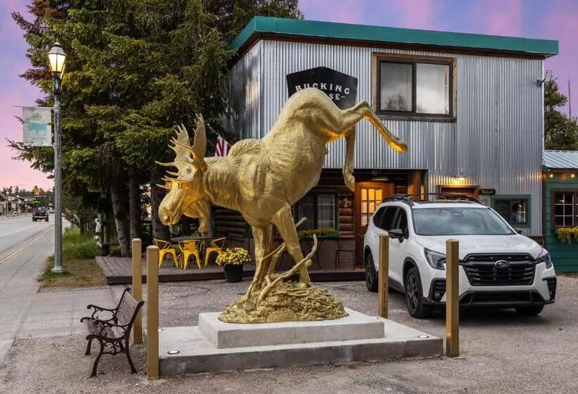Hotelli The Bucking Moose