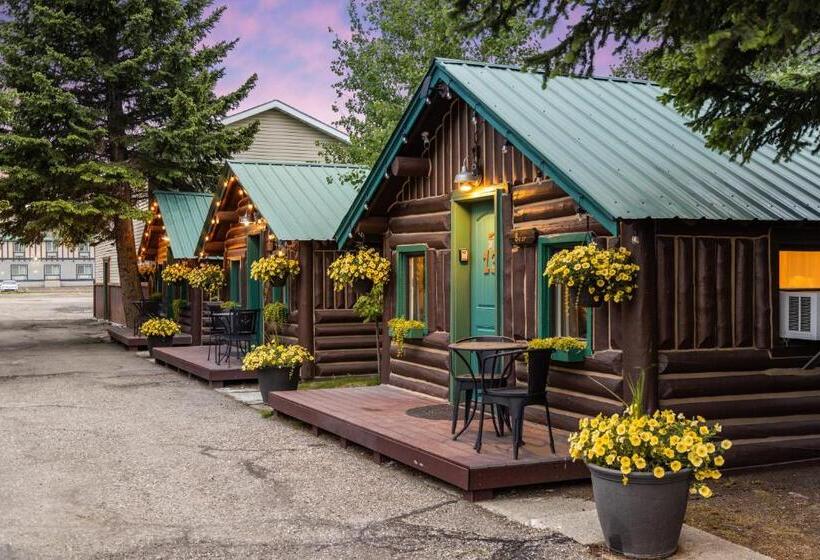 فندق The Bucking Moose