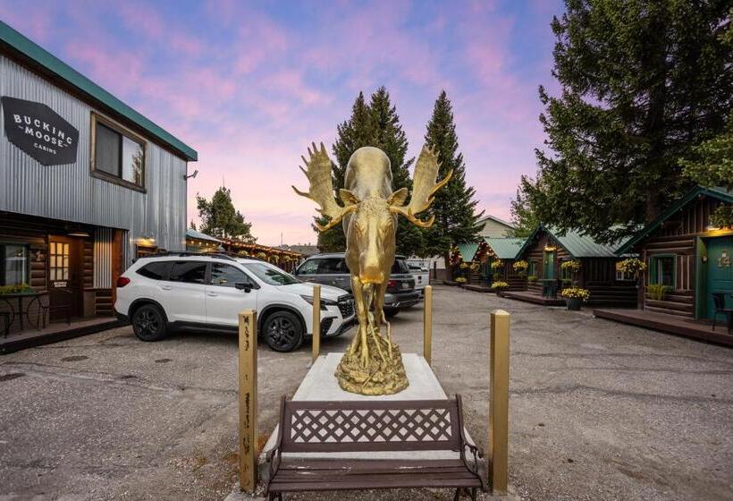 فندق The Bucking Moose