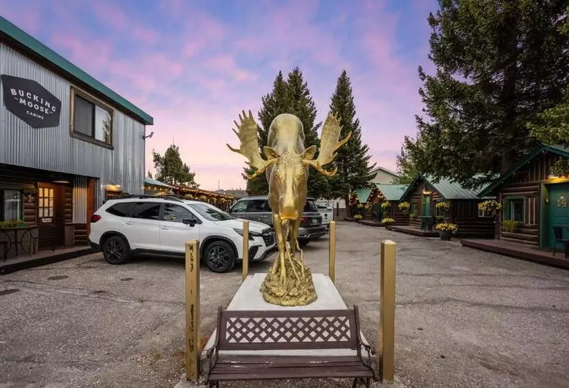 Hotelli The Bucking Moose