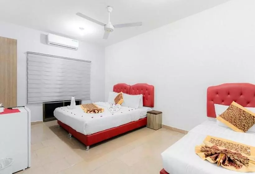 Old Town Apartment