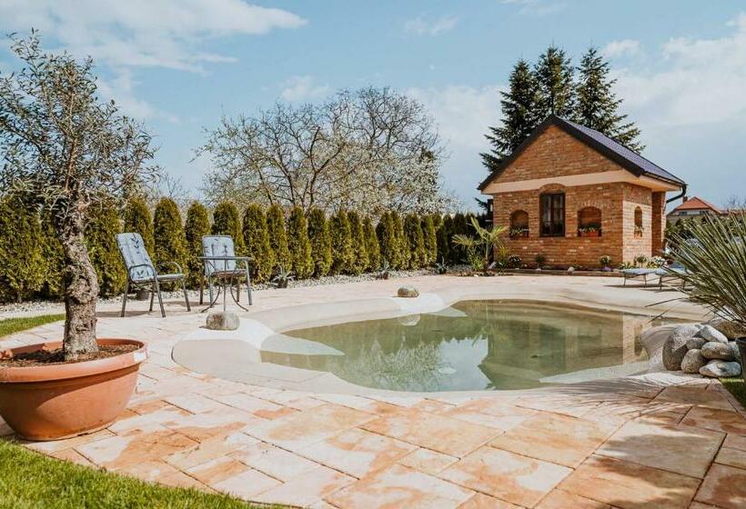 ペンション Penzion U Levandule Strážnice