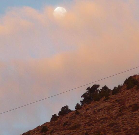 Bed and Breakfast Edith Palmer's Country Inn