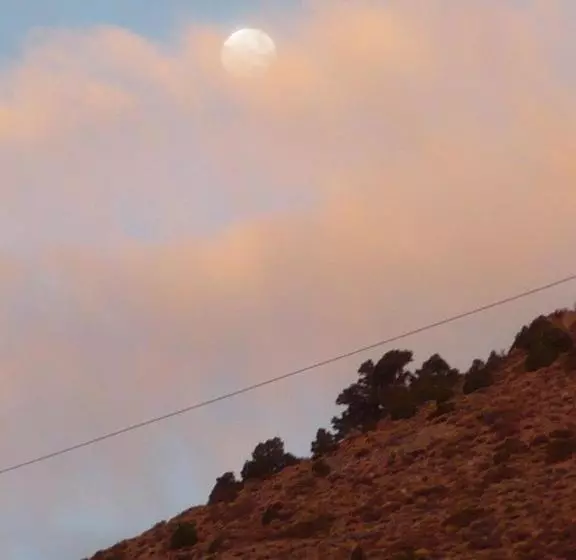 ベッドアンドブレックファースト Edith Palmer's Country Inn