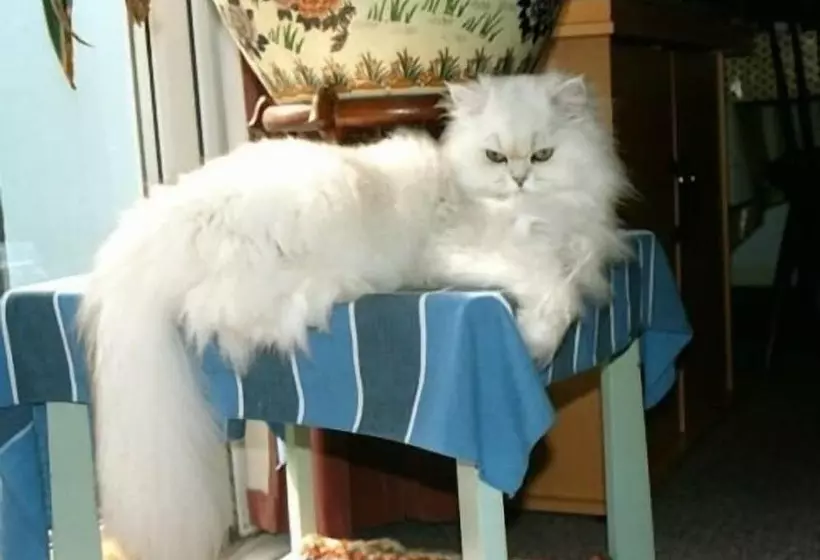 민박 Grand Hastings