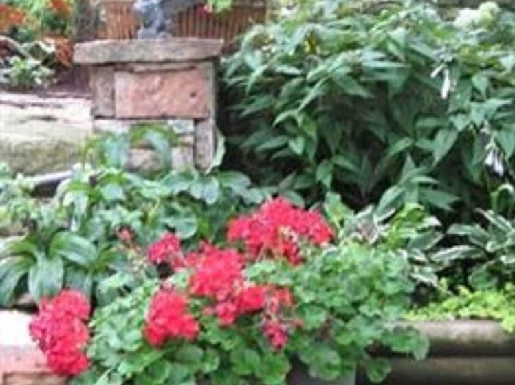 צימר Heart Of The Hills Inn