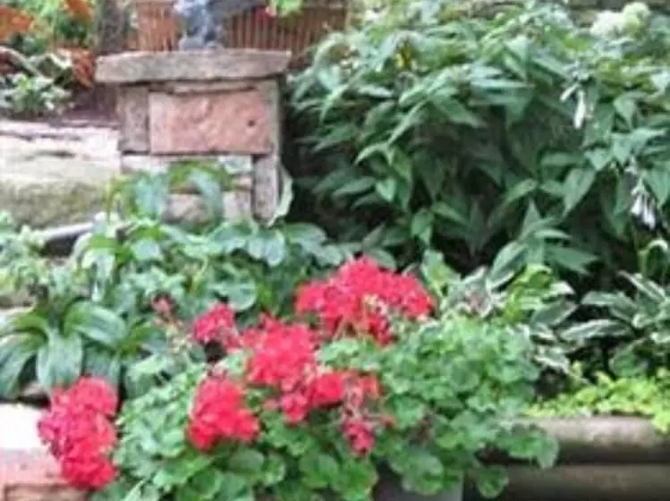 ベッドアンドブレックファースト Heart Of The Hills Inn