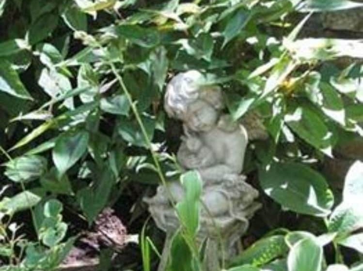 צימר Heart Of The Hills Inn