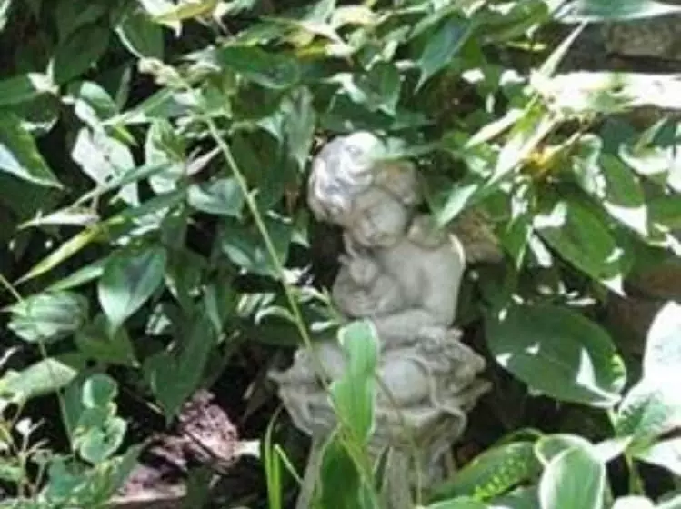 ベッドアンドブレックファースト Heart Of The Hills Inn