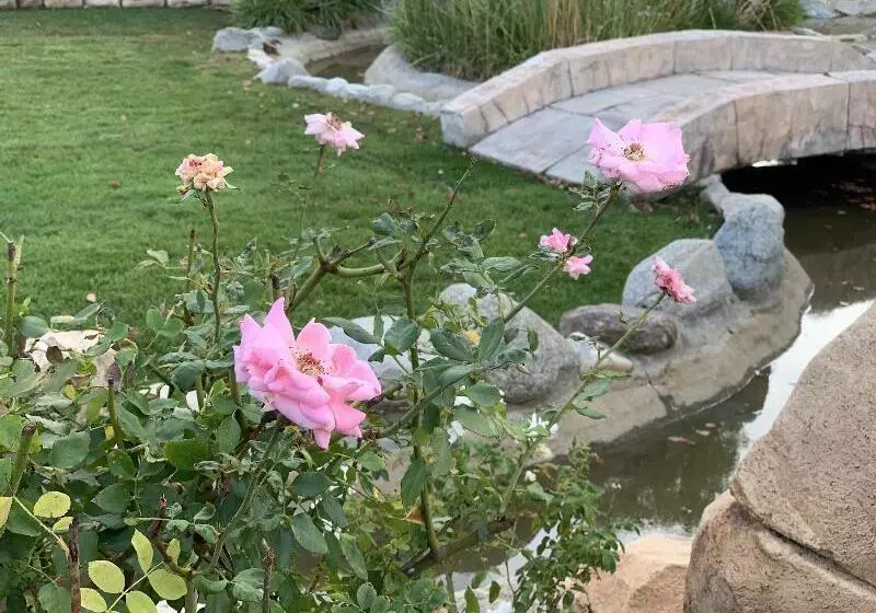 Bed and Breakfast Churon Inn Winery