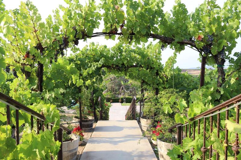 住宿加早餐 Churon Inn Winery