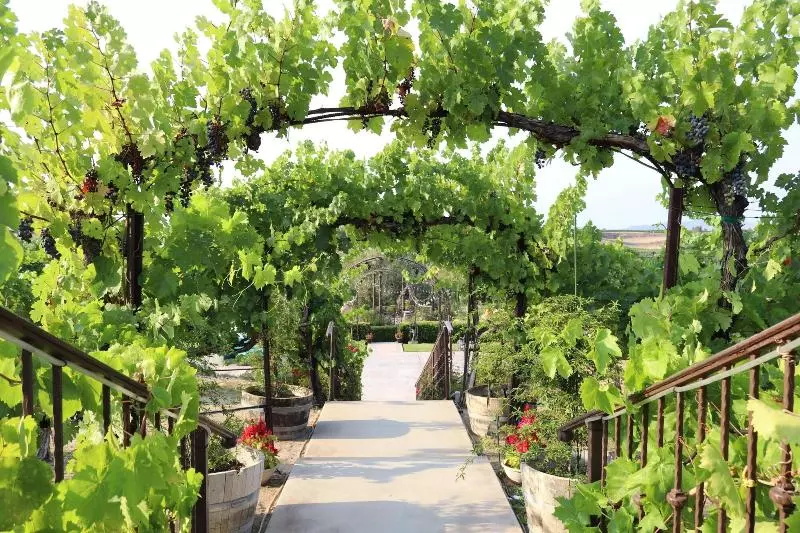 Bed and Breakfast Churon Inn Winery