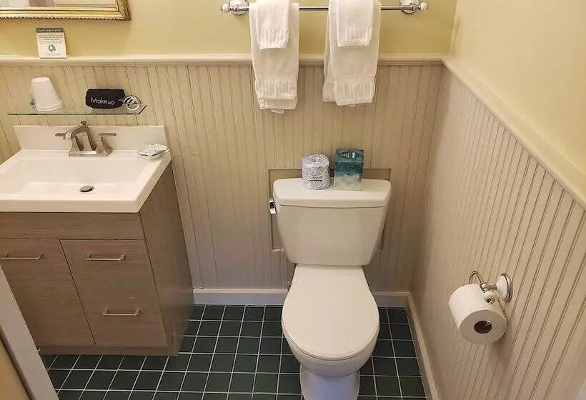 צימר The Primrose