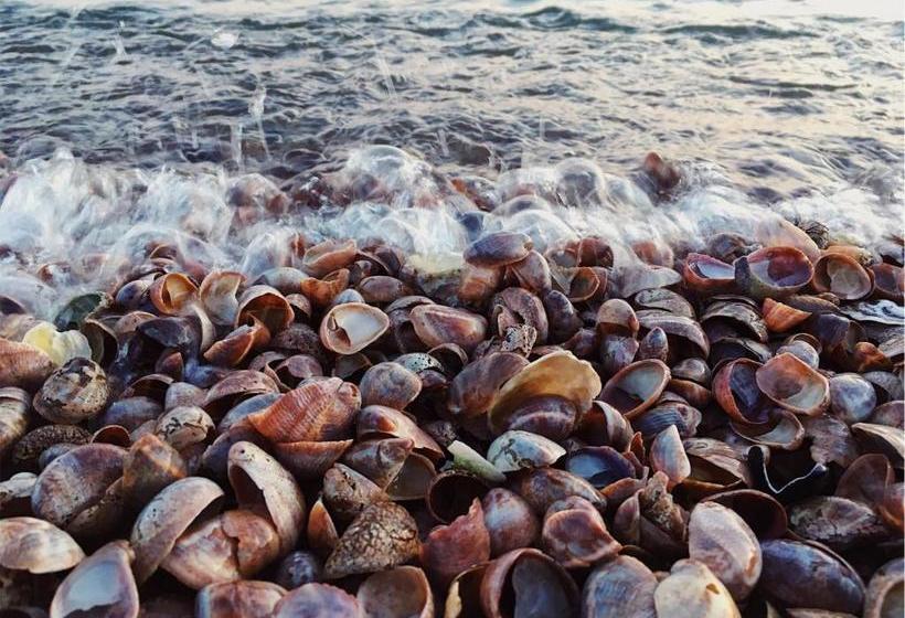 צימר Dune Fairfield Beach