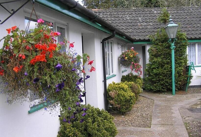 Bed and Breakfast The Willow House