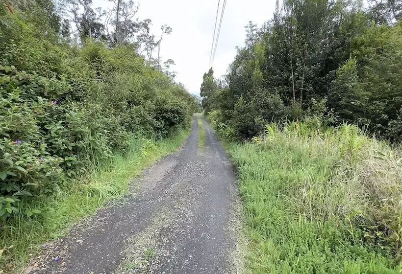 Aamiaismajoitus (B&B) Volcano Forest Inn