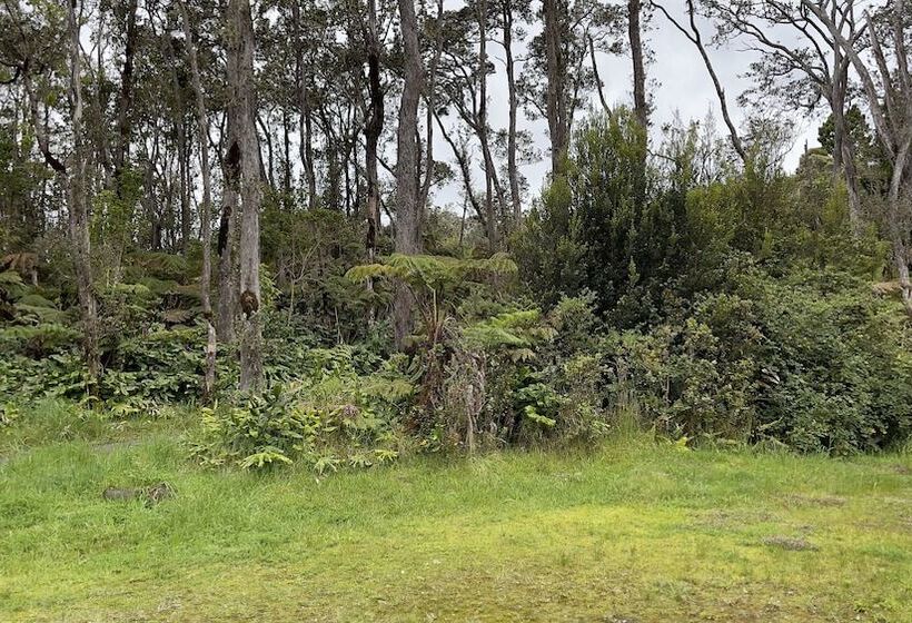 مبيت وإفطار Volcano Forest Inn