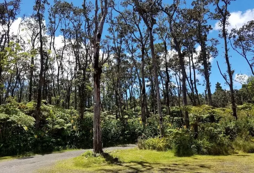 Aamiaismajoitus (B&B) Volcano Forest Inn