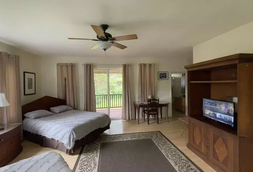 Aamiaismajoitus (B&B) Volcano Forest Inn